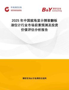 2025年中國就地顯示側裝翻板液位計行業市場前景預測及投資價值評估分析報告
