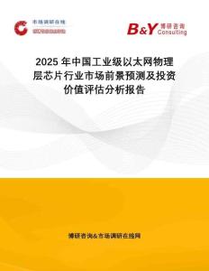 2025年中國工業(yè)級以太網(wǎng)物理層芯片行業(yè)市場前景預(yù)測及投資價值評估分析報告