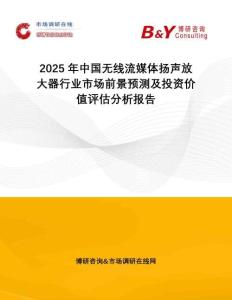 2025年中國無線流媒體揚聲放大器行業(yè)市場前景預(yù)測及投資價值評估分析報告