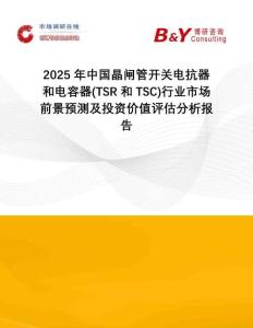 2025年中國晶閘管開關電抗器和電容器(TSR和TSC)行業市場前景預測及投資價值評估分析報告