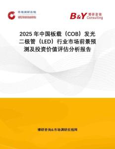 2025年中國(guó)板載（COB）發(fā)光二極管（LED）行業(yè)市場(chǎng)前景預(yù)測(cè)及投資價(jià)值評(píng)估分析報(bào)告