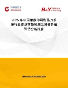 2025年中國柔版印刷刮墨刀系統行業市場前景預測及投資價值評估分析報告