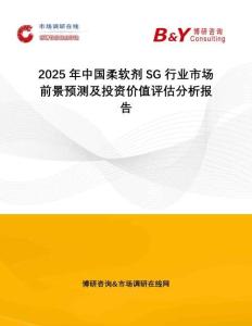 2025年中國柔軟劑SG行業市場前景預測及投資價值評估分析報告