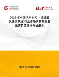 2025年中國汽車NFC（接近通訊通訊系統)行業市場前景預測及投資價值評估分析報告