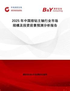 2025年中國排鉆主軸行業(yè)市場規(guī)模及投資前景預(yù)測分析報告