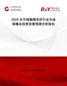 2025年中國掘煤電鏟行業(yè)市場規(guī)模及投資前景預(yù)測分析報(bào)告