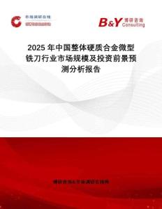 2025年中國整體硬質合金微型銑刀行業市場規模及投資前景預測分析報告