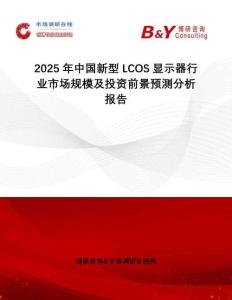 2025年中國新型LCOS顯示器行業(yè)市場規(guī)模及投資前景預(yù)測分析報告