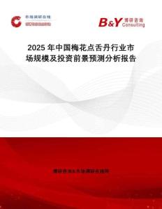 2025年中國梅花點舌丹行業(yè)市場規(guī)模及投資前景預測分析報告