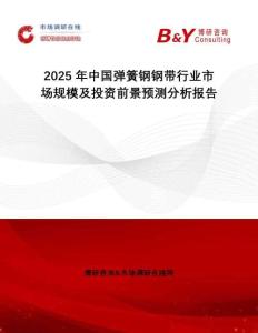 2025年中國彈簧鋼鋼帶行業市場規模及投資前景預測分析報告