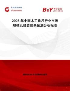 2025年中國(guó)木工角尺行業(yè)市場(chǎng)規(guī)模及投資前景預(yù)測(cè)分析報(bào)告