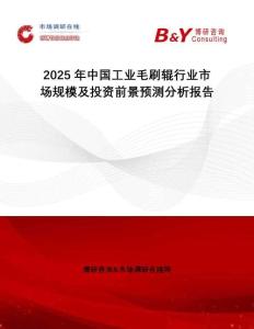 2025年中國工業(yè)毛刷輥行業(yè)市場(chǎng)規(guī)模及投資前景預(yù)測(cè)分析報(bào)告