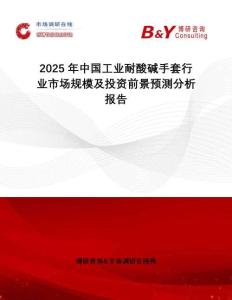 2025年中國工業(yè)耐酸堿手套行業(yè)市場規(guī)模及投資前景預(yù)測分析報(bào)告