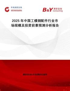 2025年中國工模銅配件行業(yè)市場規(guī)模及投資前景預測分析報告