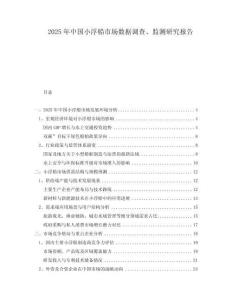 2025年中國(guó)小浮船市場(chǎng)數(shù)據(jù)調(diào)查、監(jiān)測(cè)研究報(bào)告