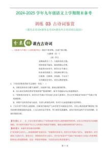 训练 03古诗词鉴赏（课内古诗词+课外古诗词+课内外古诗词）（解析版）-A4