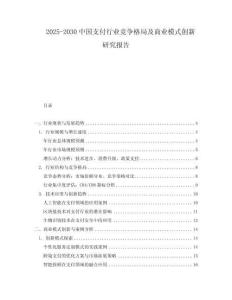 2025-2030中國支付行業(yè)競爭格局及商業(yè)模式創(chuàng)新研究報(bào)告