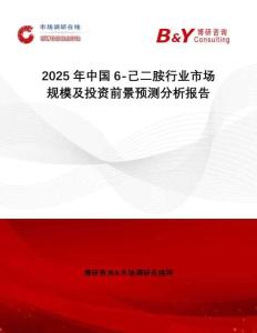 2025年中國6-己二胺行業(yè)市場規(guī)模及投資前景預測分析報告