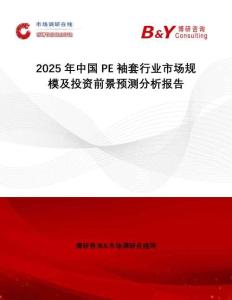 2025年中國(guó)PE袖套行業(yè)市場(chǎng)規(guī)模及投資前景預(yù)測(cè)分析報(bào)告