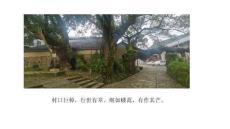 景記松陽·水南街道橫山村