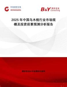2025年中國烏木梳行業(yè)市場規(guī)模及投資前景預測分析報告