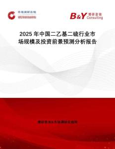 2025年中國二乙基二硫行業(yè)市場規(guī)模及投資前景預(yù)測分析報告