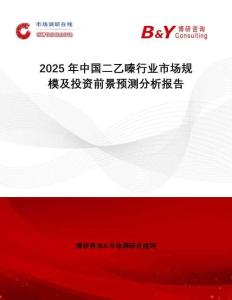 2025年中國二乙嗪行業(yè)市場規(guī)模及投資前景預測分析報告