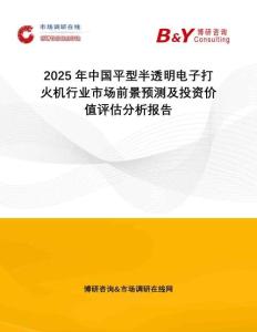 2025年中國平型半透明電子打火機行業市場前景預測及投資價值評估分析報告