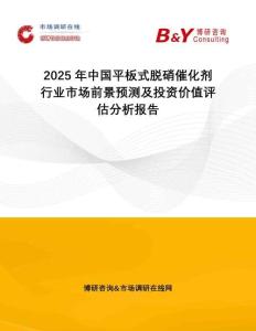 2025年中國平板式脫硝催化劑行業(yè)市場前景預測及投資價值評估分析報告