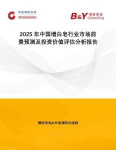 2025年中國增白皂行業市場前景預測及投資價值評估分析報告
