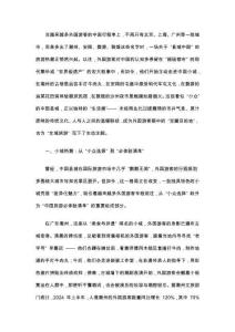 小城新故事：外國游客為何迷上縣域中國？