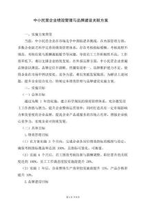 中小民營企業(yè)績效管理與品牌建設(shè)實施方案