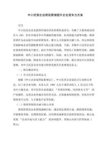 中小民營企業(yè)績效管理提升企業(yè)競爭力方案