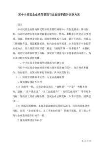 某中小民營企業(yè)績效管理與企業(yè)效率提升關(guān)聯(lián)方案