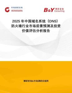 2025年中國(guó)域名系統(tǒng)（DNS）防火墻行業(yè)市場(chǎng)前景預(yù)測(cè)及投資價(jià)值評(píng)估分析報(bào)告