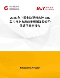 2025年中國安防視頻監(jiān)控SoC芯片行業(yè)市場前景預測及投資價值評估分析報告