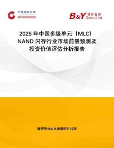 2025年中國多級單元（MLC）NAND閃存行業(yè)市場前景預(yù)測及投資價值評估分析報告