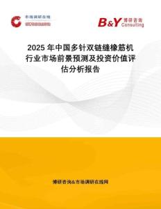 2025年中國多針雙鏈縫橡筋機行業(yè)市場前景預(yù)測及投資價值評估分析報告