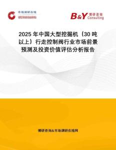 2025年中國大型挖掘機(jī)（30噸以上）行走控制閥行業(yè)市場前景預(yù)測及投資價值評估分析報告