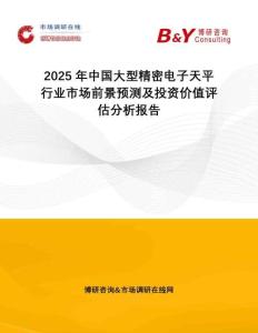 2025年中國大型精密電子天平行業市場前景預測及投資價值評估分析報告