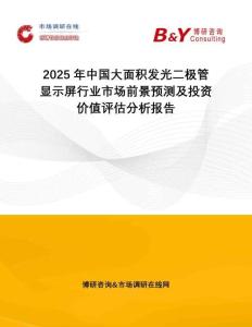 2025年中國大面積發(fā)光二極管顯示屏行業(yè)市場(chǎng)前景預(yù)測(cè)及投資價(jià)值評(píng)估分析報(bào)告