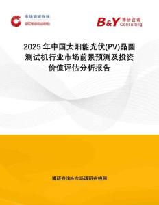 2025年中國太陽能光伏(PV)晶圓測試機(jī)行業(yè)市場前景預(yù)測及投資價(jià)值評(píng)估分析報(bào)告