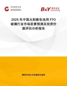 2025年中國太陽能電池用FTO玻璃行業(yè)市場(chǎng)前景預(yù)測(cè)及投資價(jià)值評(píng)估分析報(bào)告
