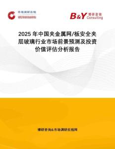 2025年中國(guó)夾金屬網(wǎng) 板安全夾層玻璃行業(yè)市場(chǎng)前景預(yù)測(cè)及投資價(jià)值評(píng)估分析報(bào)告