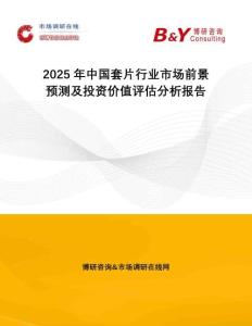 2025年中国套片行业市场前景预测及投资价值评估分析报告