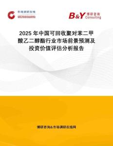2025年中國可回收聚對苯二甲酸乙二醇酯行業(yè)市場前景預(yù)測及投資價(jià)值評估分析報(bào)告