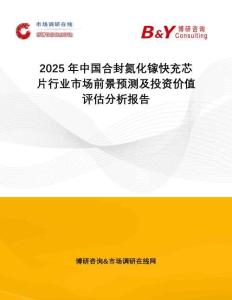 2025年中國合封氮化鎵快充芯片行業(yè)市場前景預(yù)測及投資價(jià)值評(píng)估分析報(bào)告