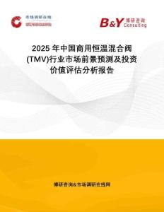 2025年中國商用恒溫混合閥 (TMV)行業(yè)市場前景預測及投資價值評估分析報告