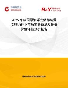 2025年中國原油浮式儲存裝置(CFSU)行業(yè)市場前景預(yù)測及投資價值評估分析報告