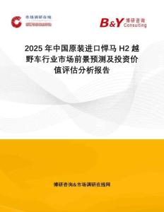 2025年中國(guó)原裝進(jìn)口悍馬H2越野車行業(yè)市場(chǎng)前景預(yù)測(cè)及投資價(jià)值評(píng)估分析報(bào)告